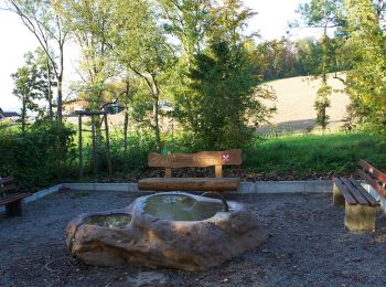 Tocht Te voet Oberembrach - Oberembrach - Freienstein - Photo