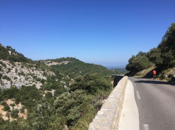 Randonnée Vélo de route Saint-Saturnin-lès-Apt - Boucle Venasque Murs - Photo