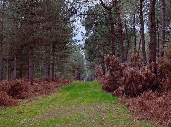 Randonnée Marche Les Ulmes - les ulmes fast hiking 15022024 - Photo