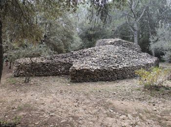 Tour Wandern Bernis - Bernis capitelles-4-chemins - Photo