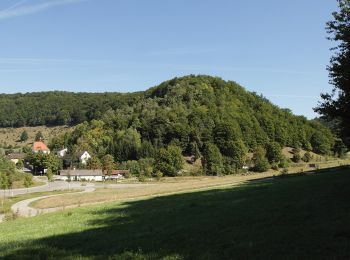 Percorso A piedi Pappenheim - Ortswanderweg Pappenheim - Photo