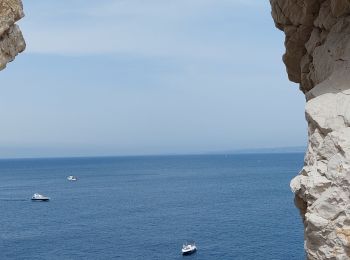 Randonnée Marche Marseille - Archipel du Frioul, Marseille - Photo