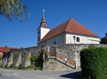 Trail On foot Gemeinde Michelbach - Michelbach Rundwanderweg - Photo