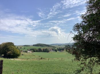 Randonnée Marche Burg-Reuland - Grufflngen - Photo