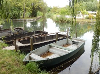 Excursión Senderismo Bourges - Marais de Bourges 6km - Photo