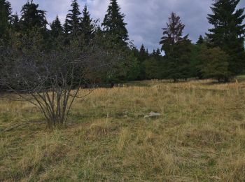 Percorso A piedi Lomnice - naučná stezka Járy Cimrmana - Photo