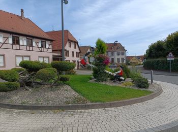 Randonnée Vélo électrique Erstein - vieux Rhin - Photo