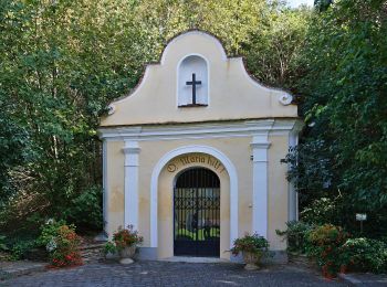 Tocht Te voet Gemeinde Sitzenberg-Reidling - Große Gemeinderunde - Photo