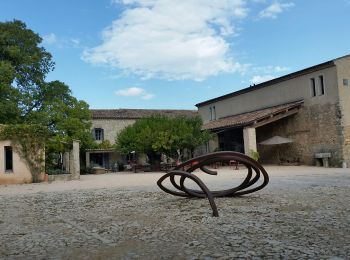 Tour Wandern Flassans-sur-Issole - Fondation peyrassol flassans - Photo