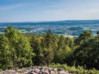 Trail On foot Weismain - Kordigast Berglauf - Photo