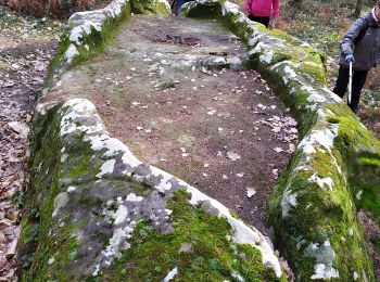 Excursión A pie Joncels - JONCELS-le Causse Froid-Pierre du Sacrifice - Photo