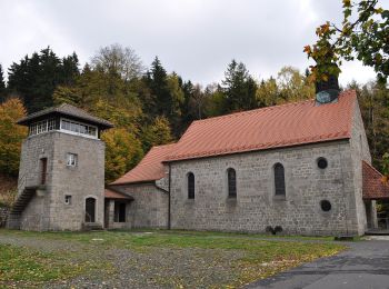 Percorso A piedi Flossenbürg - Schellenberg - Flossenbürg - Photo