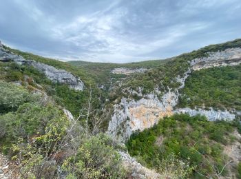 Randonnée Marche Monieux - Gorges de la Nesque - Photo