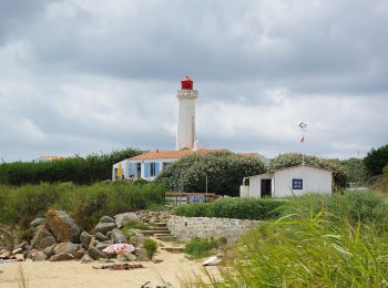 Excursión A pie L'Île-d'Yeu - La Sente de Kreuzland - Photo