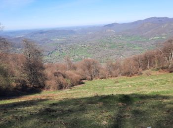 Tocht Stappen Bramevaque - randonnée sur le Touroc depuis Bramevaque  - Photo