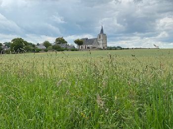 Randonnée Marche nordique Pendé - Pendé et ses champs - Photo