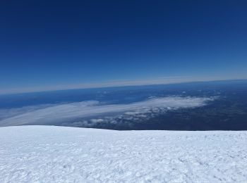 Trail Touring skiing Puerto Varas - volcán Osorno - Photo