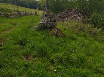 Trail Walking Saint-Chély-d'Aubrac - st chely st urcize - Photo