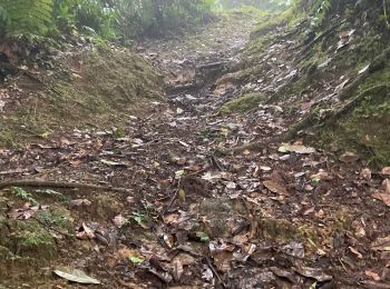 Tocht Noords wandelen Sainte-Marie - Autour des 3 sources - Sainte Marie - Photo