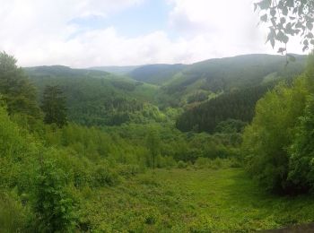 Percorso A piedi Netphen - Rothaarsteig-Zuweg Netphen - Photo