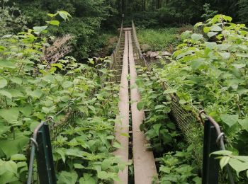 Randonnée Marche Sélestat - Ried Sélestat  - Photo