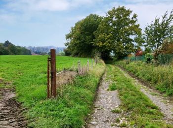 Randonnée Marche Fléron - Le vallon de la Julienne - Photo