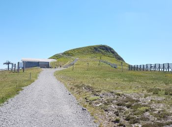 Randonnée Marche Albepierre-Bredons - Le Plomb du Cantal depuis Prat-De-Bouc - Photo