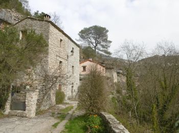 Percorso Marcia Saint-Maurice-Navacelles - Vallée de la Vis, moulins de la Foux en boucle - Photo