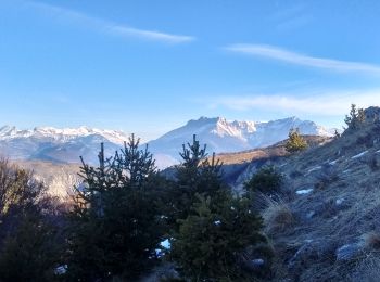 Percorso Corsa a piedi Saint-Auban-d'Oze - Trail 01 - Le Cirque de Villauret - Photo