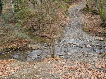 Trail Walking Bera - bera col lizarieta - Photo