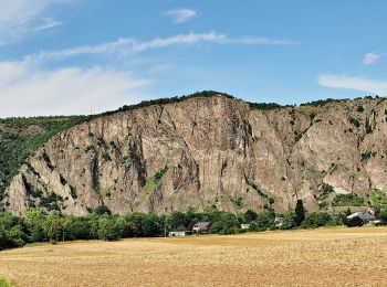 Trail On foot Bad Kreuznach - VITALtour Ebernburg - Photo