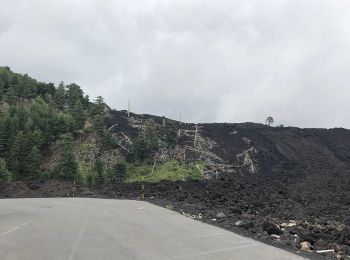 Randonnée A pied Zafferana Etnea - Case Pietracannone - Piano Provenzana - Passo dei Dammusi - Photo