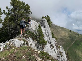 Excursión Senderismo Aillon-le-Jeune - Mont Colombier par les rochers de la Bade et la sente de Rossanaz avec CAF Annecy -R3 - Photo