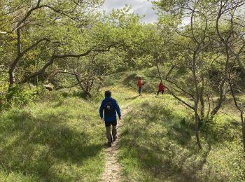 Trail Walking Bray-Dunes - Dune du Perroquet - Photo