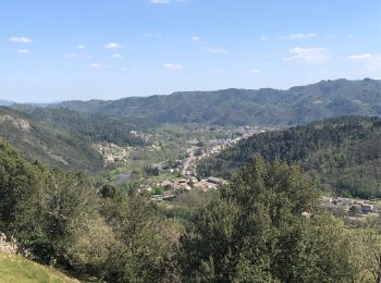 Randonnée Marche Vals-les-Bains - Autour de Niegles - Photo