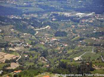 Trail On foot Boalhosa - Percurso do Carvalhal de Trovel - Photo