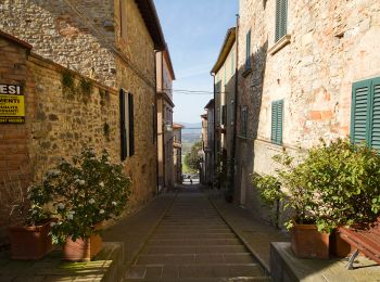 Tour Zu Fuß Allerona - Anello orvietano - Photo