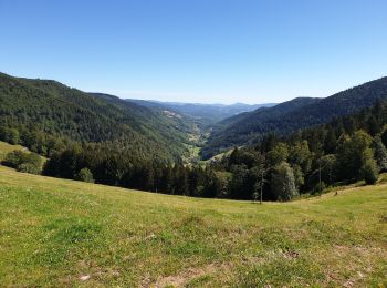 Randonnée Marche Sainte-Marie-aux-Mines - Col des Bagenelles et les deux Brézouard - Photo