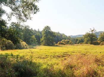 Randonnée A pied Ralsko - naučná stezka Jeřáb - Photo