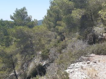 Tour Mountainbike Martigues - martigues - Photo