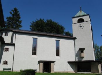 Tocht Te voet Onbekend - Stadtwald-Walk - Photo