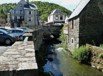 Percorso A piedi Saint-Victor-la-Rivière - Roche-Romaine - Photo