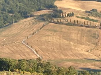 Percorso Marcia San Casciano dei Bagni - Petite ballade au val d’or ai - Photo