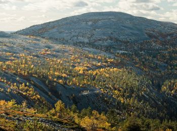 Randonnée A pied Pelkosenniemi - Noitatunturin valloitus (Summer hiking route) - Photo