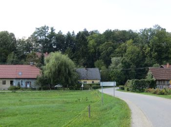 Tocht Te voet Vrhnika - Bobrova pot - Photo