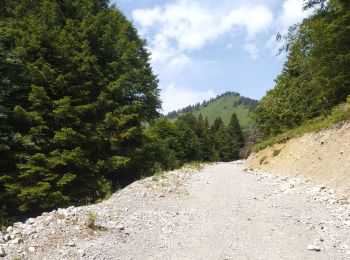 Randonnée Marche Jarsy - parc à moutons  - Photo