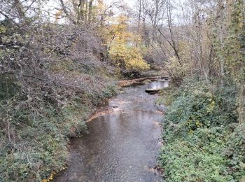 Percorso Marcia Cour-et-Buis - 38-Cour-et-Buis-Eyzin-restau-18km-420mdec22 - Photo