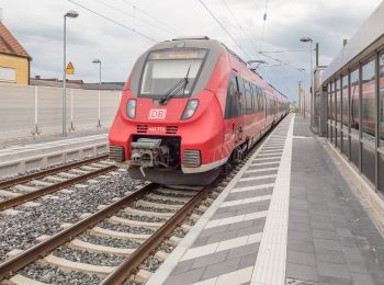 Tocht Te voet Zapfendorf - Rundweg Schwarze 4 Zapfendorf - Photo