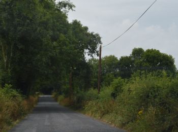 Excursión A pie The Municipal District of Cahir — Cashel - Lough Muskry - Photo