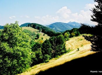 Excursión A pie Băile Herculane - Băile Herculane (Cartier Zăvoi) - Platoul și Izvorul Coronini - Cracul lui Arendașu -Poiana cu Peri - Vf. Elisabeta - Vf.Ciorici -Grota cu Aburi - Grota Haiducilor - Hotel Roman - Photo